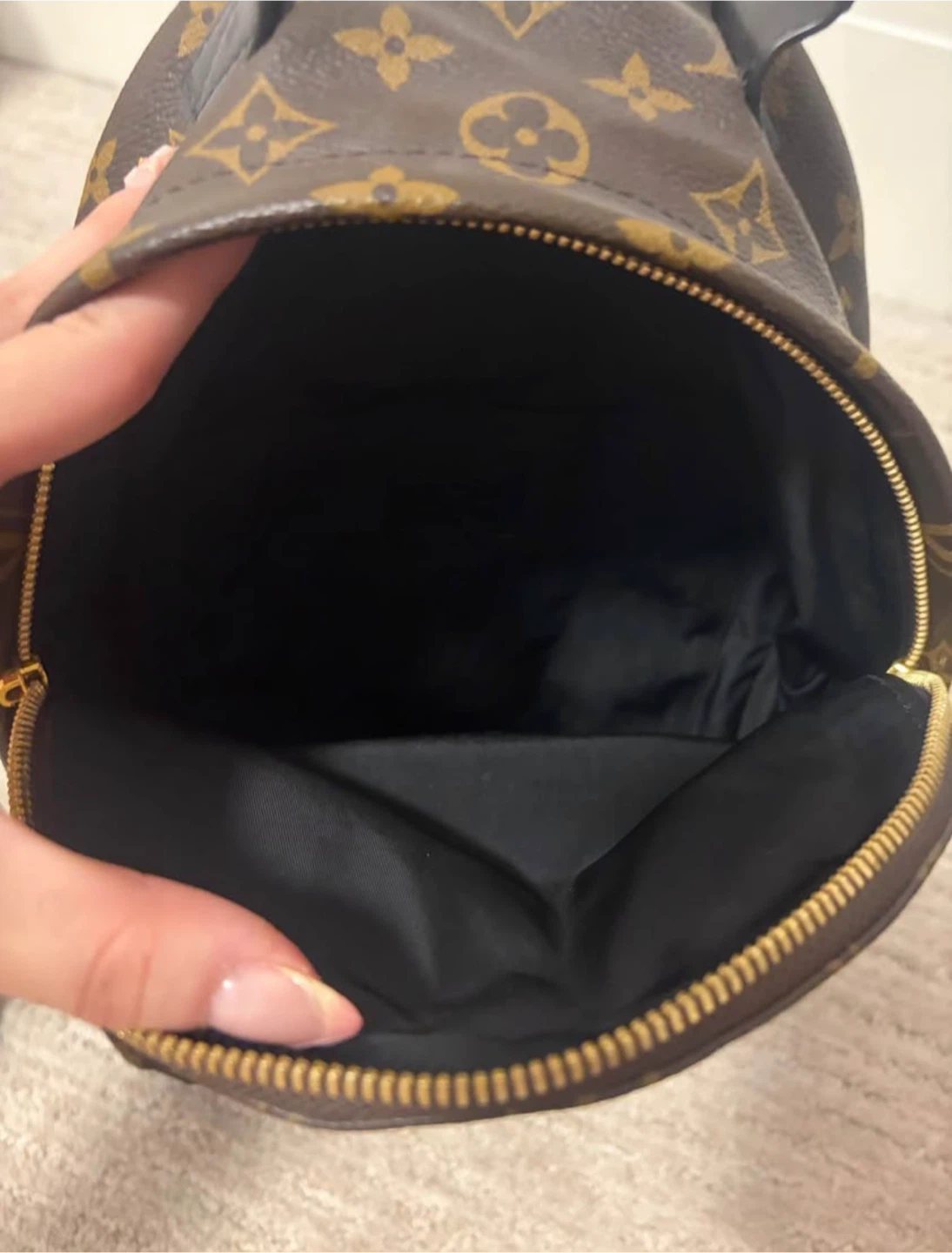 Louis Vuitton Palms Spring Mini Backpack - photo 2
