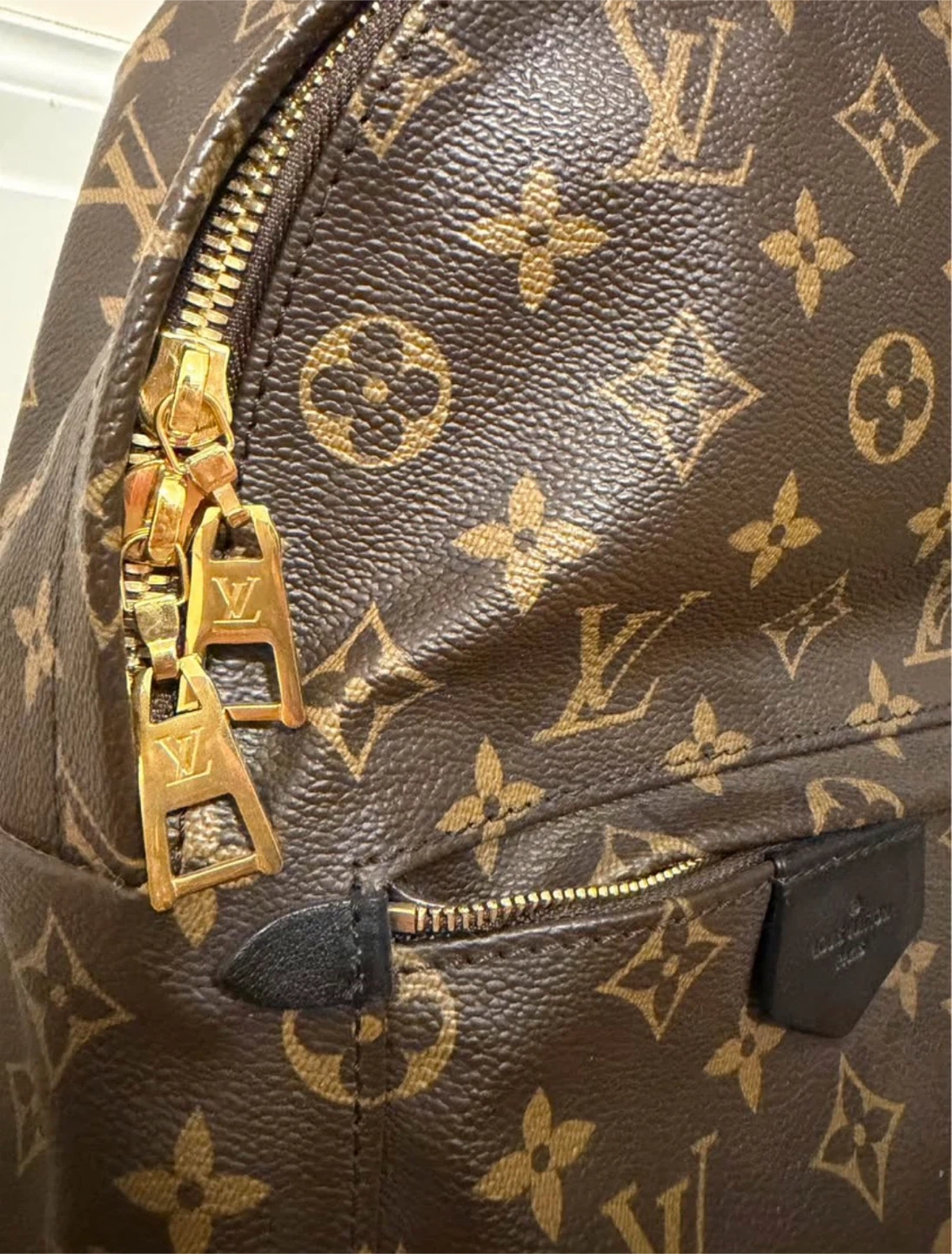 Louis Vuitton Palms Spring Mini Backpack - photo 3