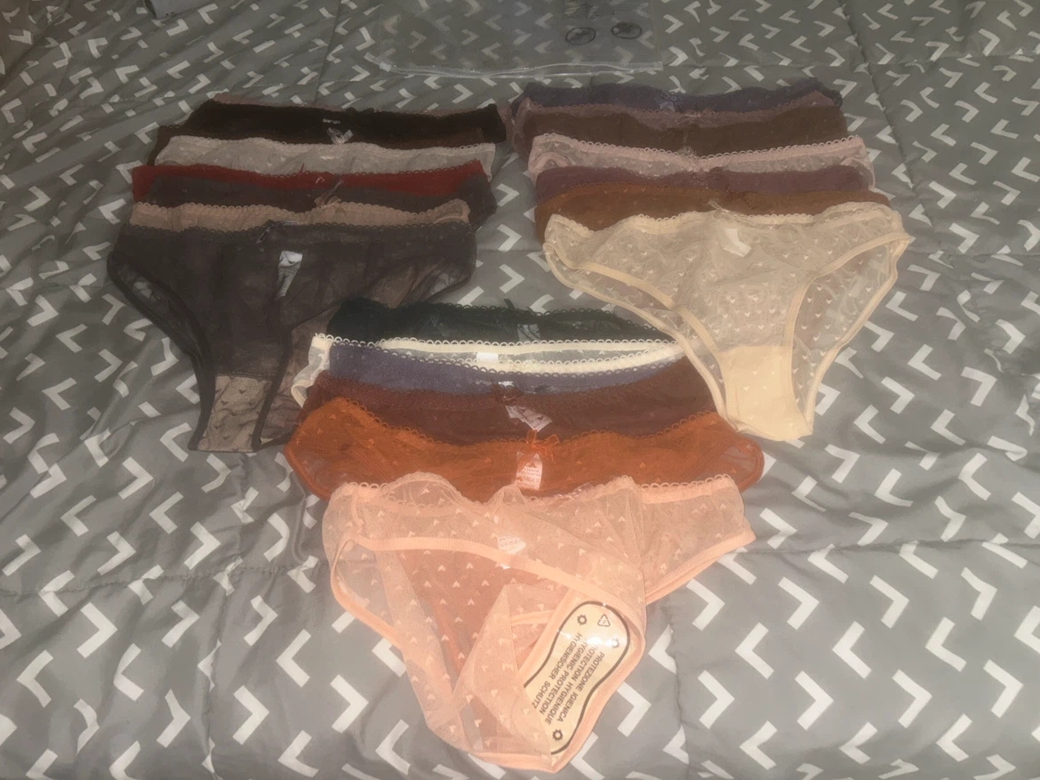 Lot of 14 Women's Lace Panties
