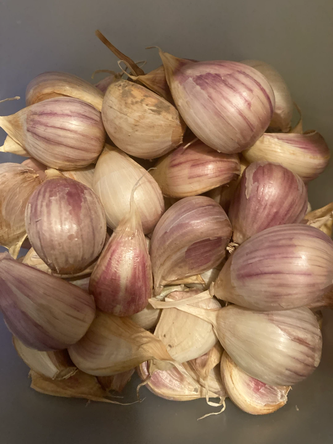 Fresh Garlic Bulbs