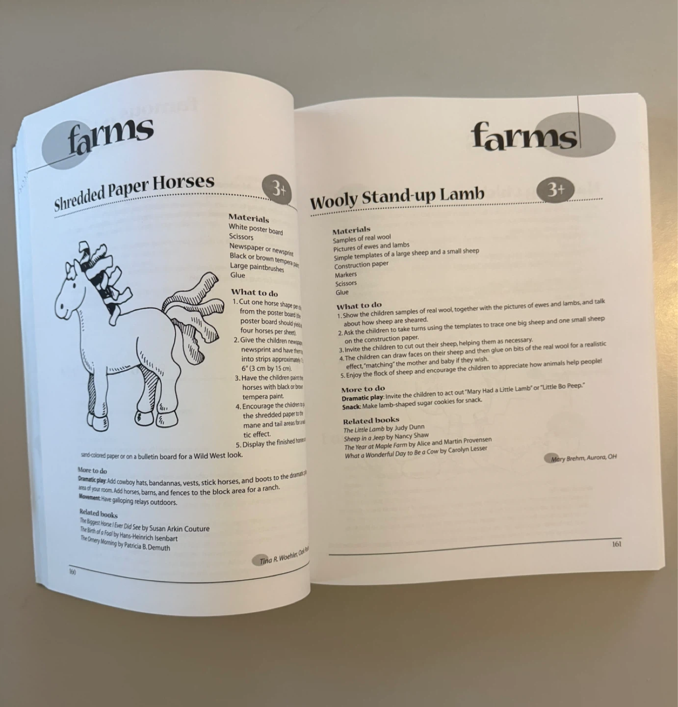 The GIANT Encyclopedia of Art & Craft Activities - photo 2