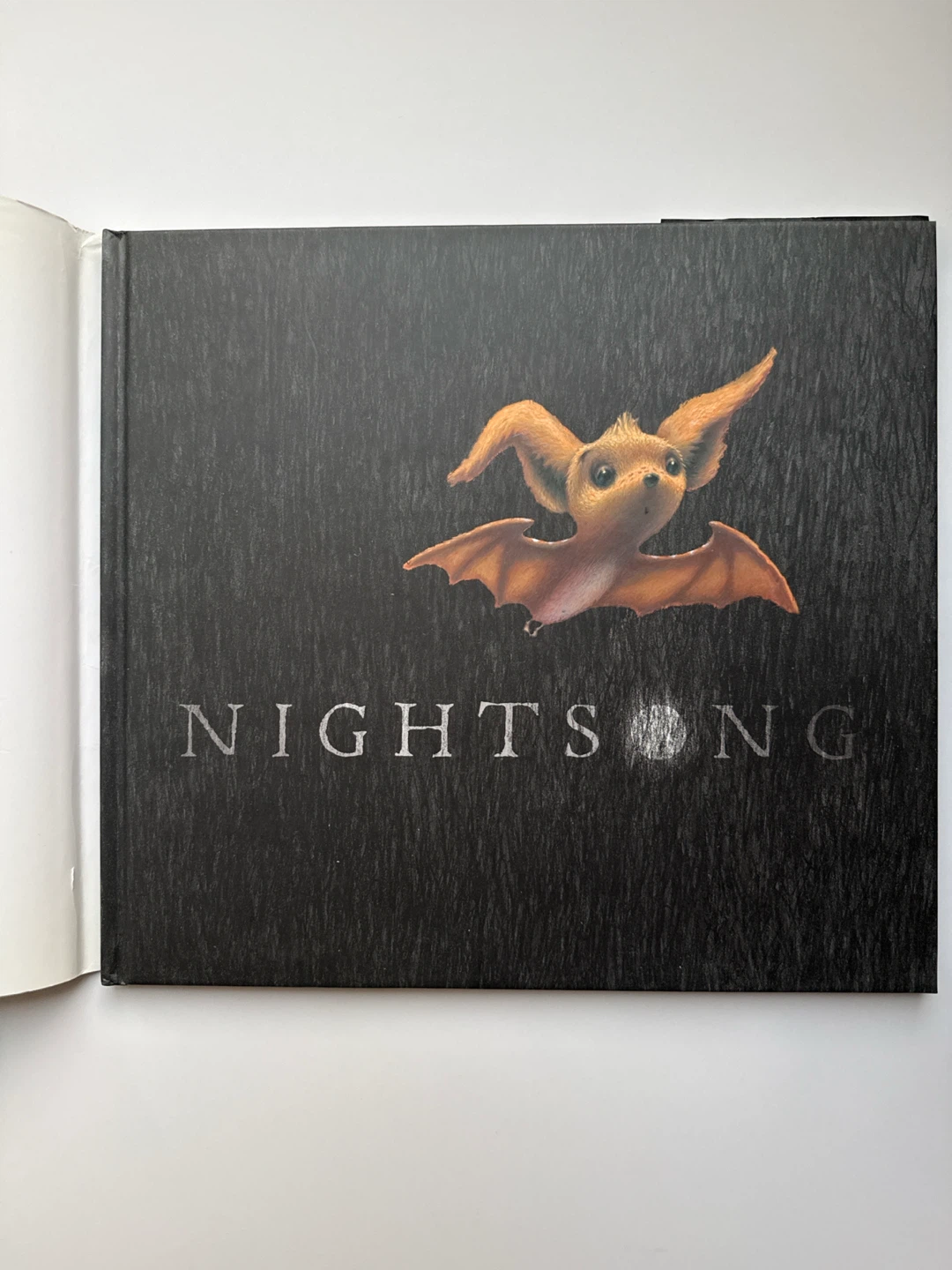 ‘Nightsong’ Kids’ Book - photo 3