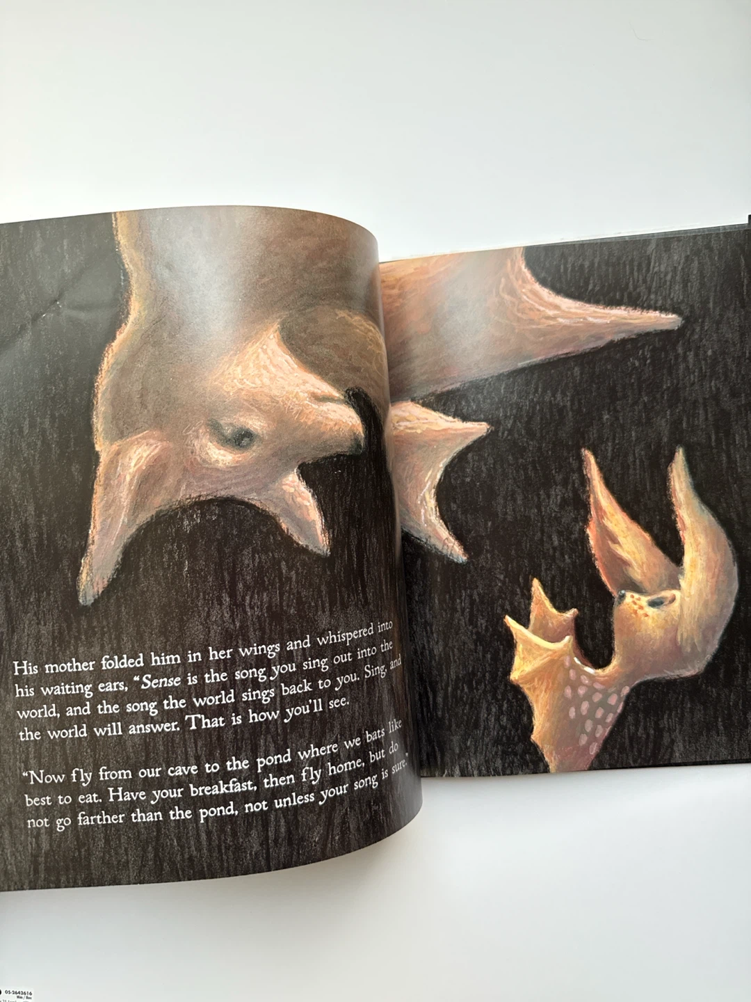 ‘Nightsong’ Kids’ Book - photo 4