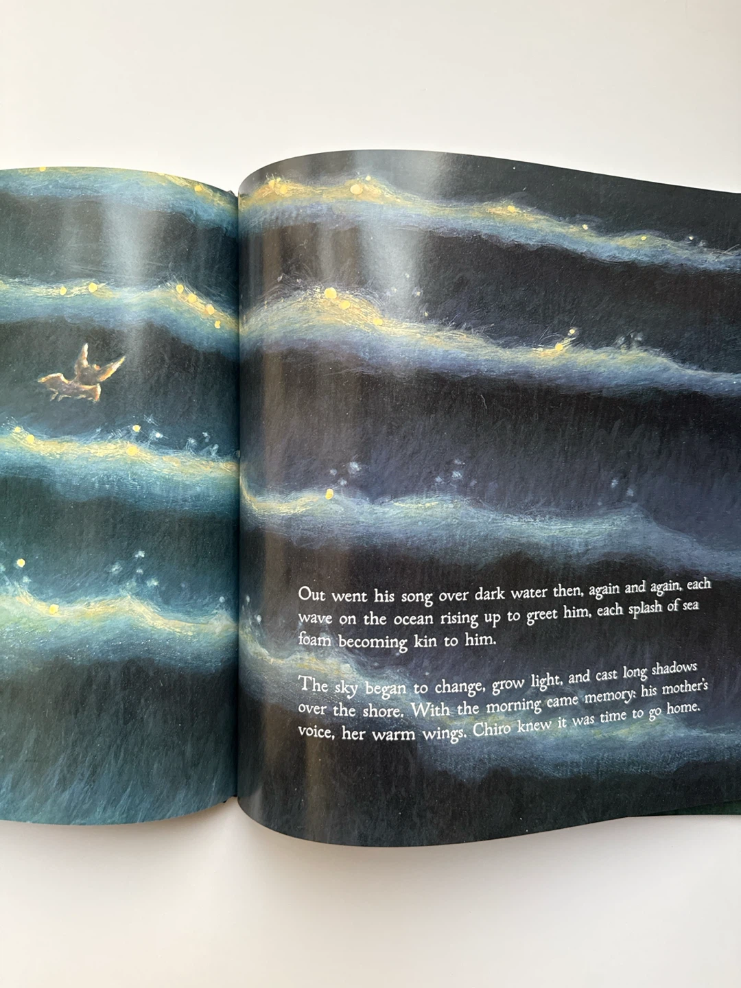 ‘Nightsong’ Kids’ Book - photo 5