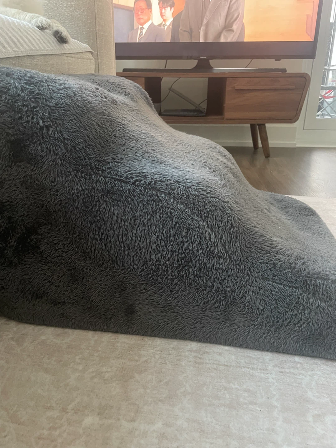 Pet stairs