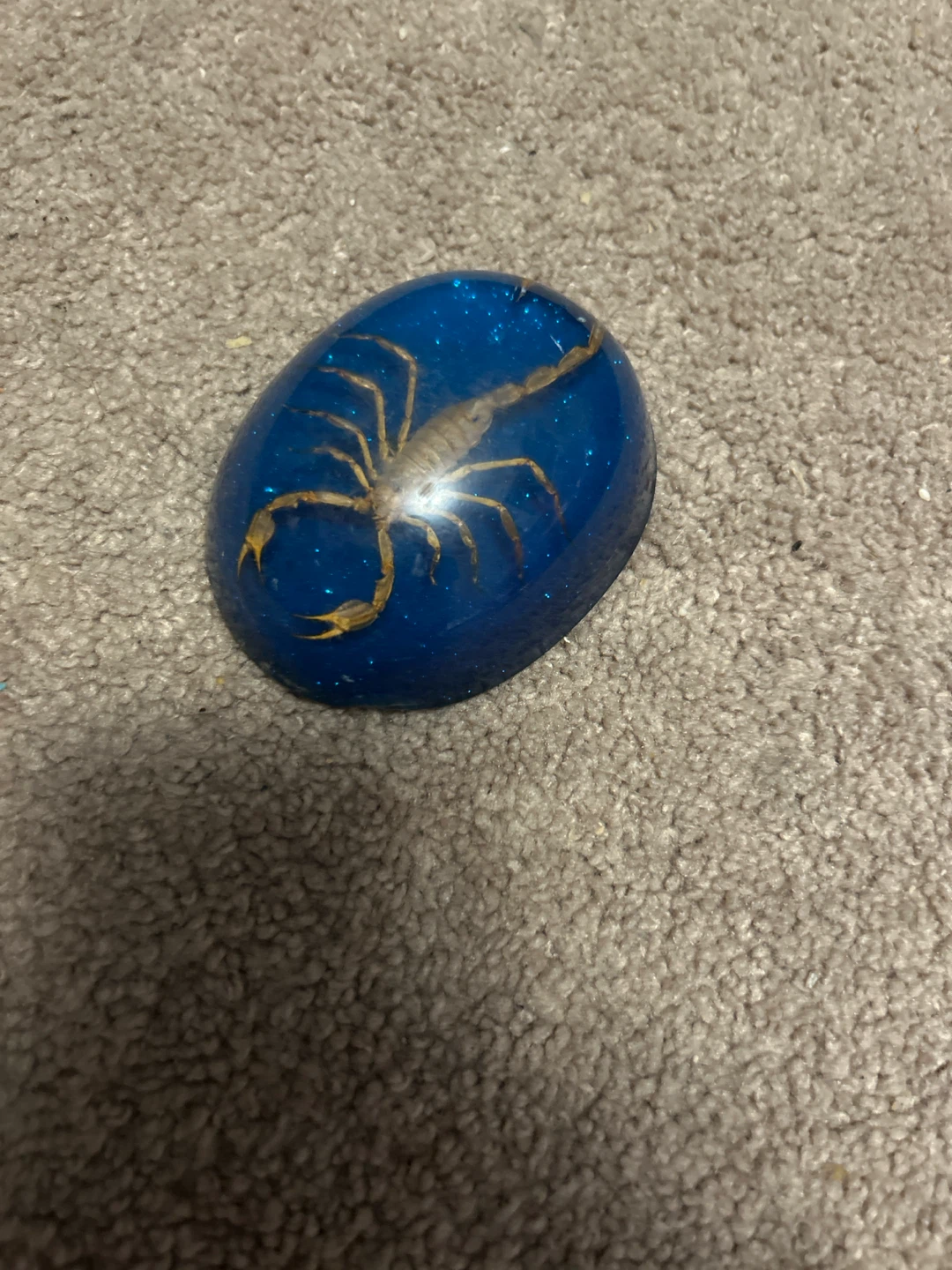 Resin Scorpion Paperweight/Ornament