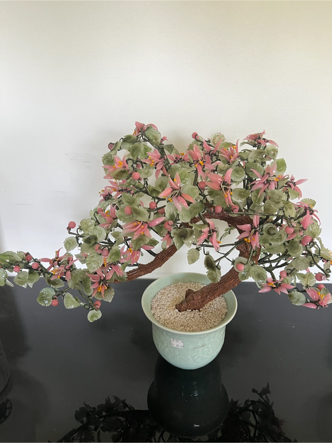 Jade Bonsai Tree