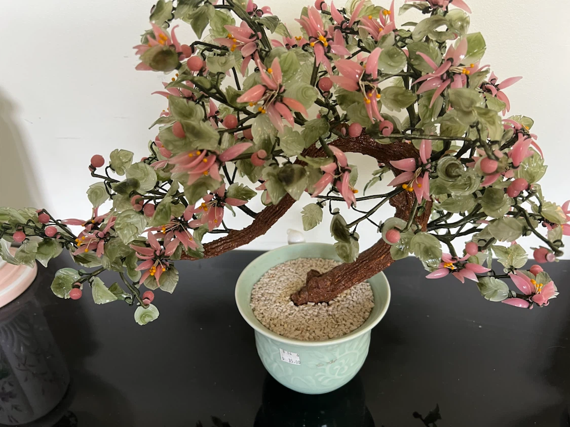 Jade Bonsai Tree - photo 2