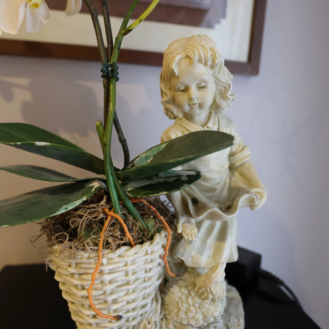 Orchid with Figurine Pot - photo 3