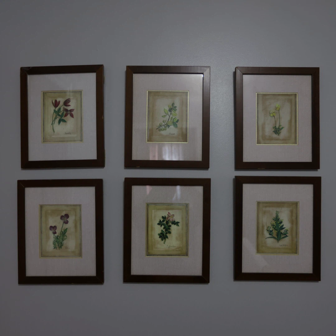 Set of 6 Botanical Art Prints