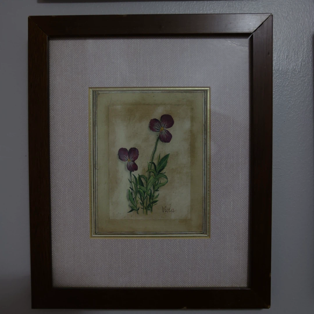 Set of 6 Botanical Art Prints - photo 2