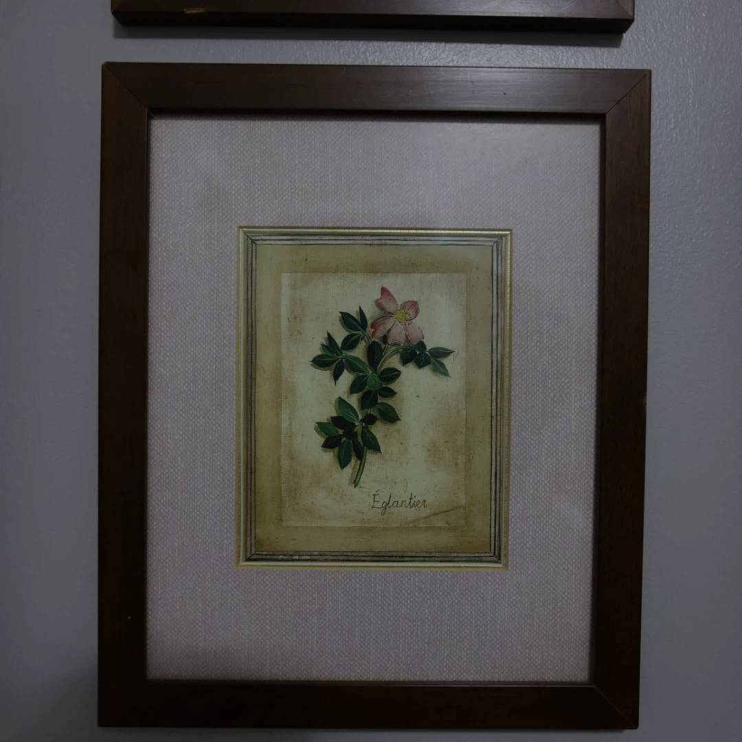 Set of 6 Botanical Art Prints - photo 3