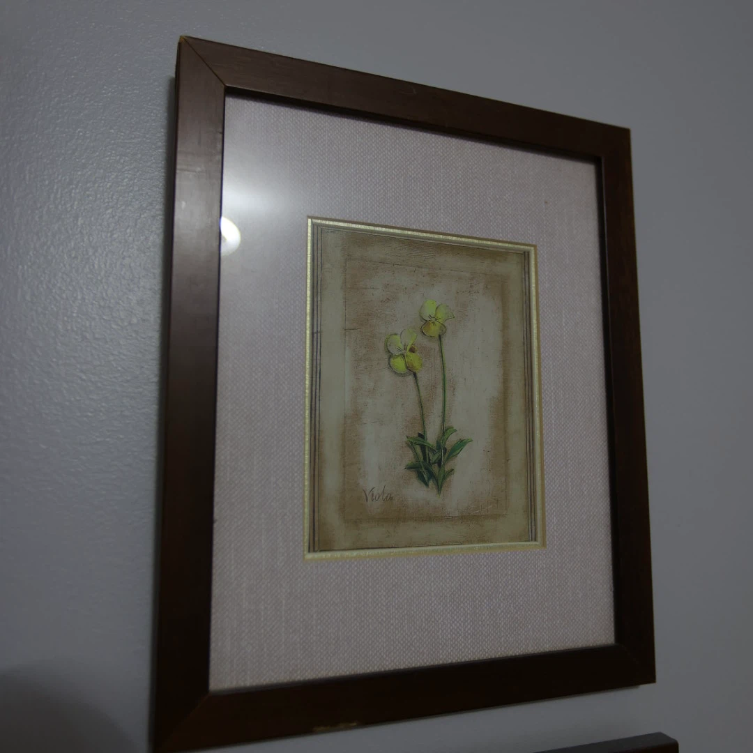 Set of 6 Botanical Art Prints - photo 5
