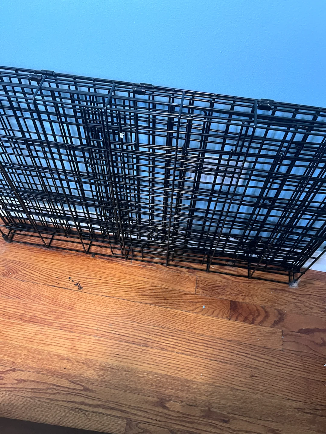 Large Pet Crate