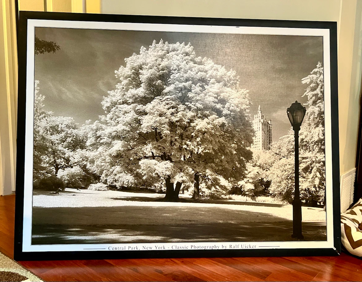 Ralf Uicker framed picture
