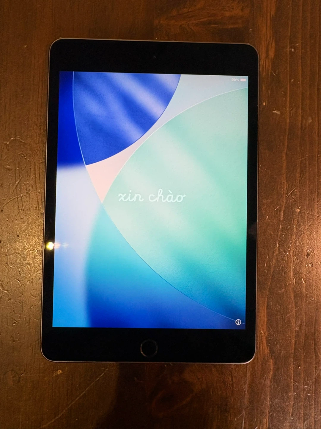 Apple iPad Mini (5th Gen)