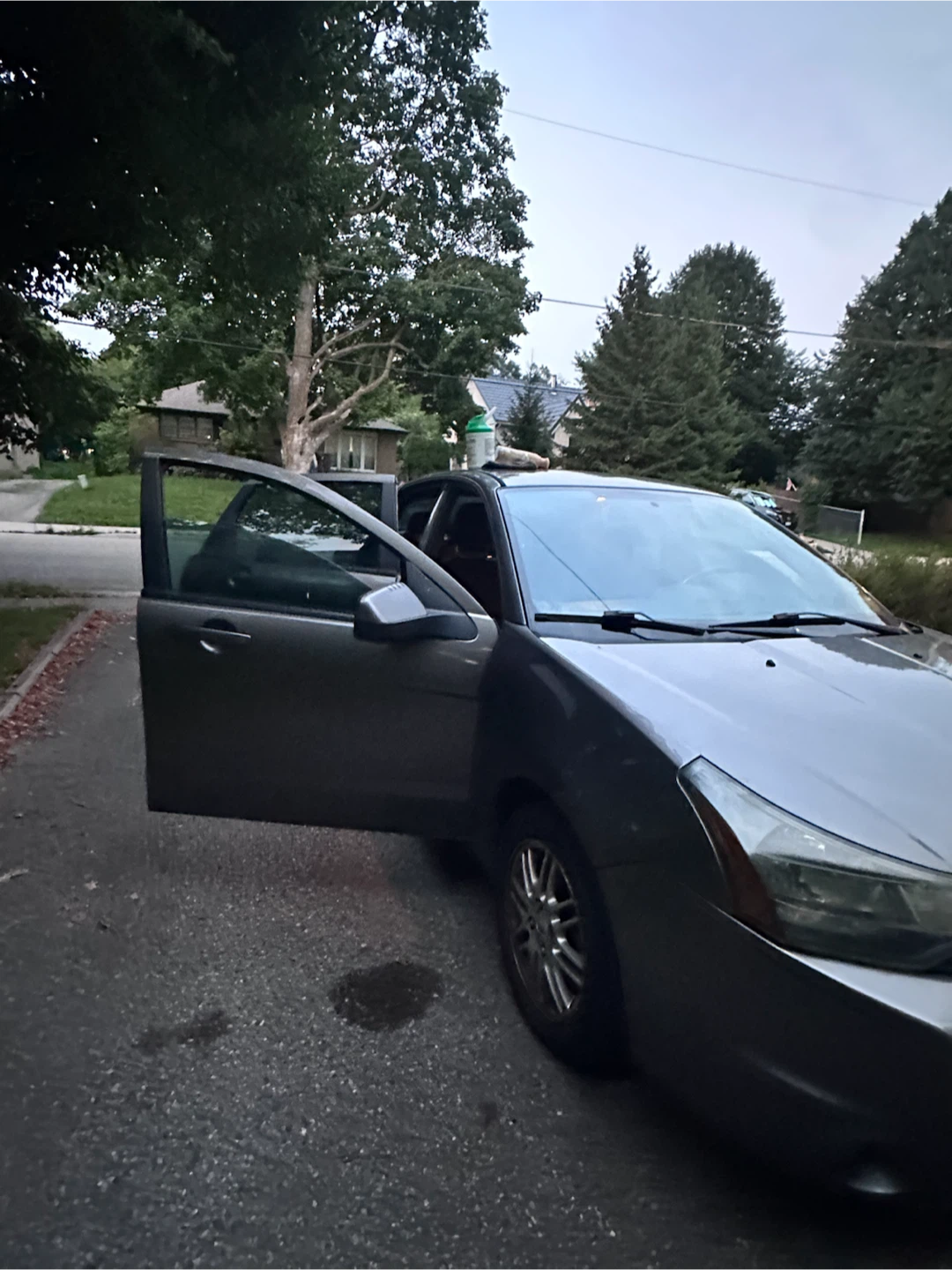 Ford Focus - photo 4