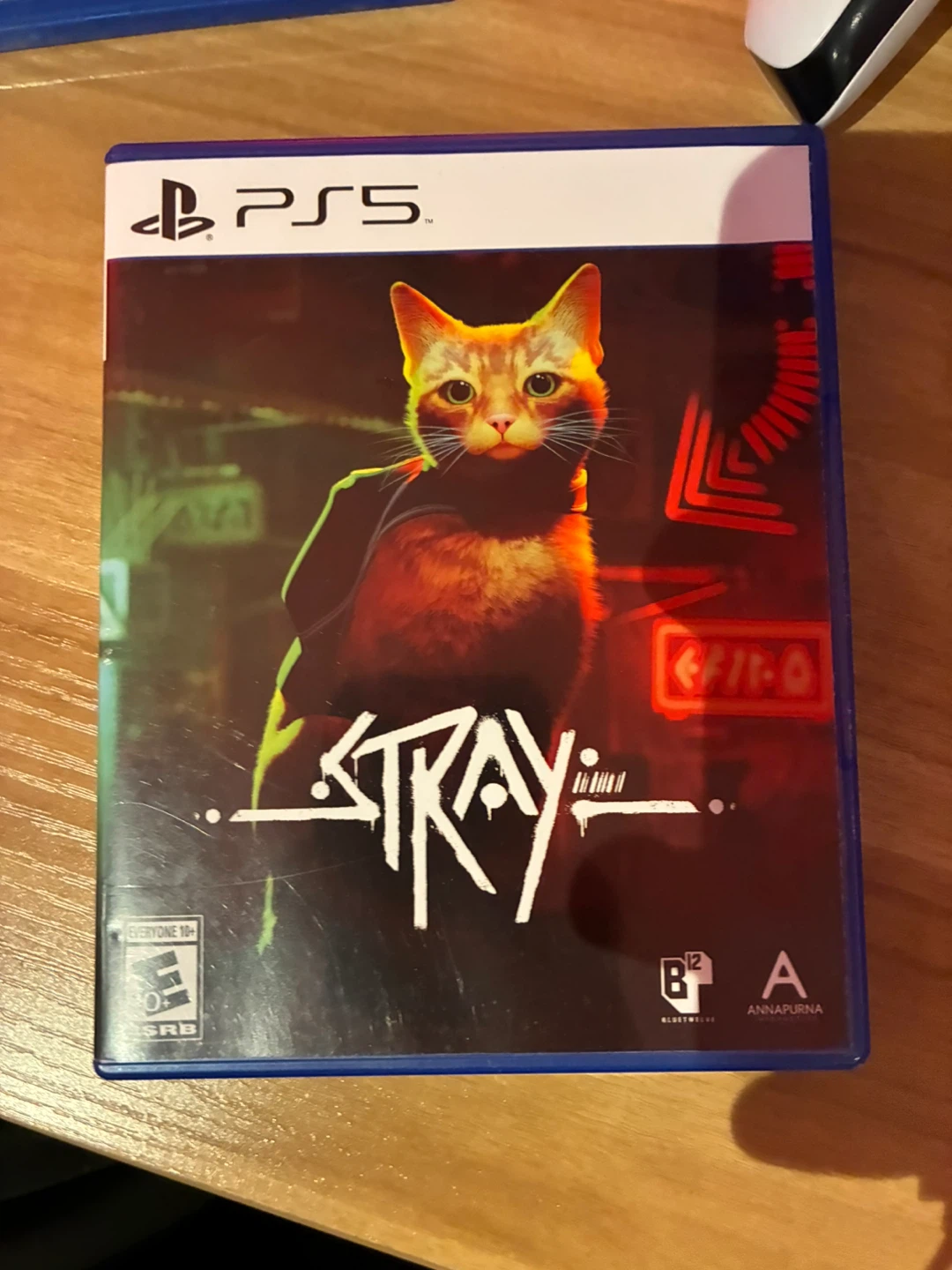 Stray PS5 Video Game