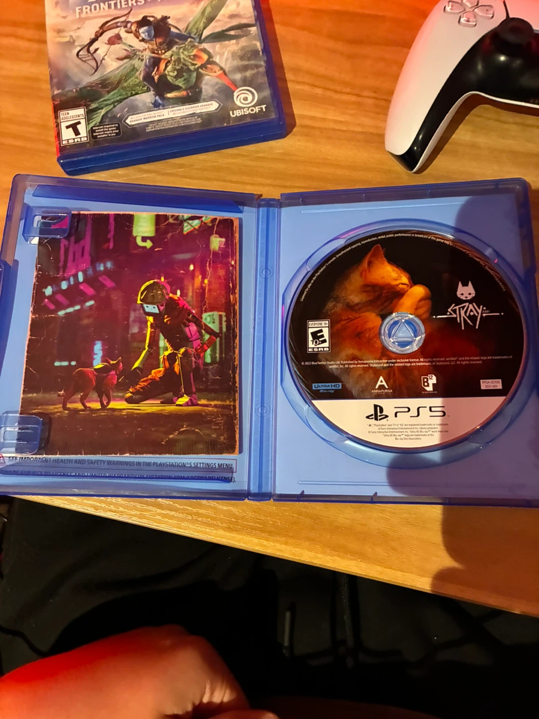 Stray PS5 Video Game - photo 2
