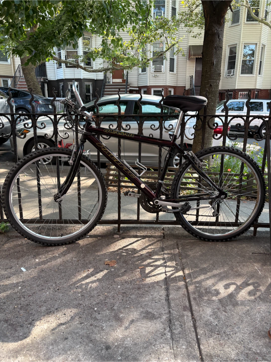 Pacific "QUASAR" Mountain Bike