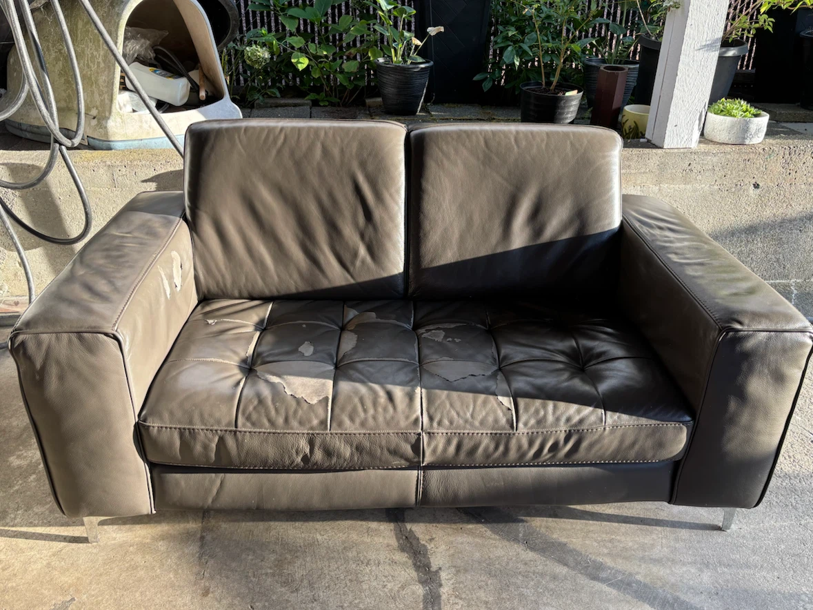 Free Sofa