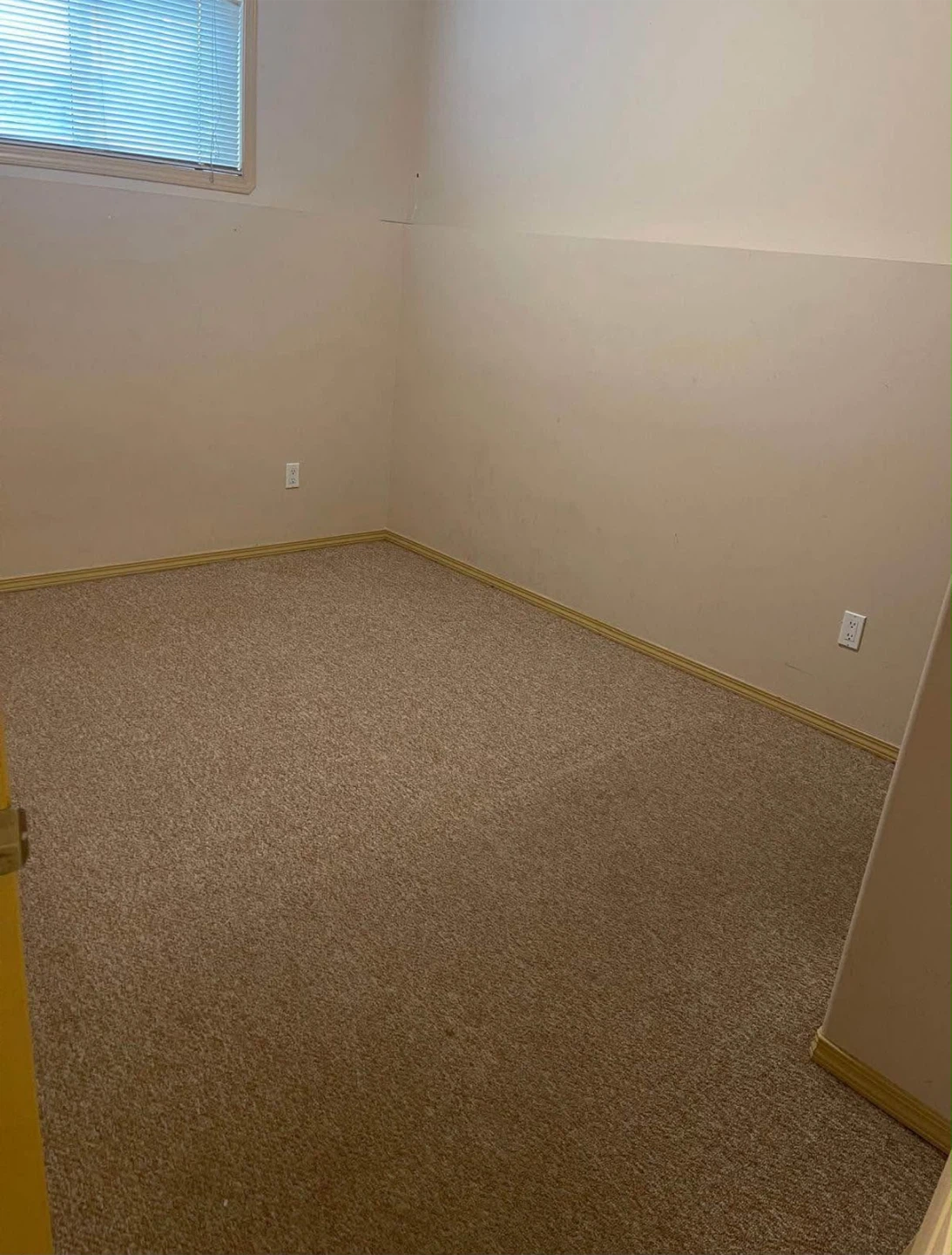 Basement for rent