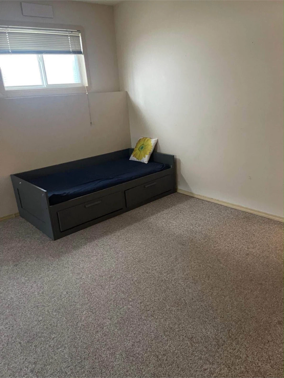 Basement for rent - photo 2