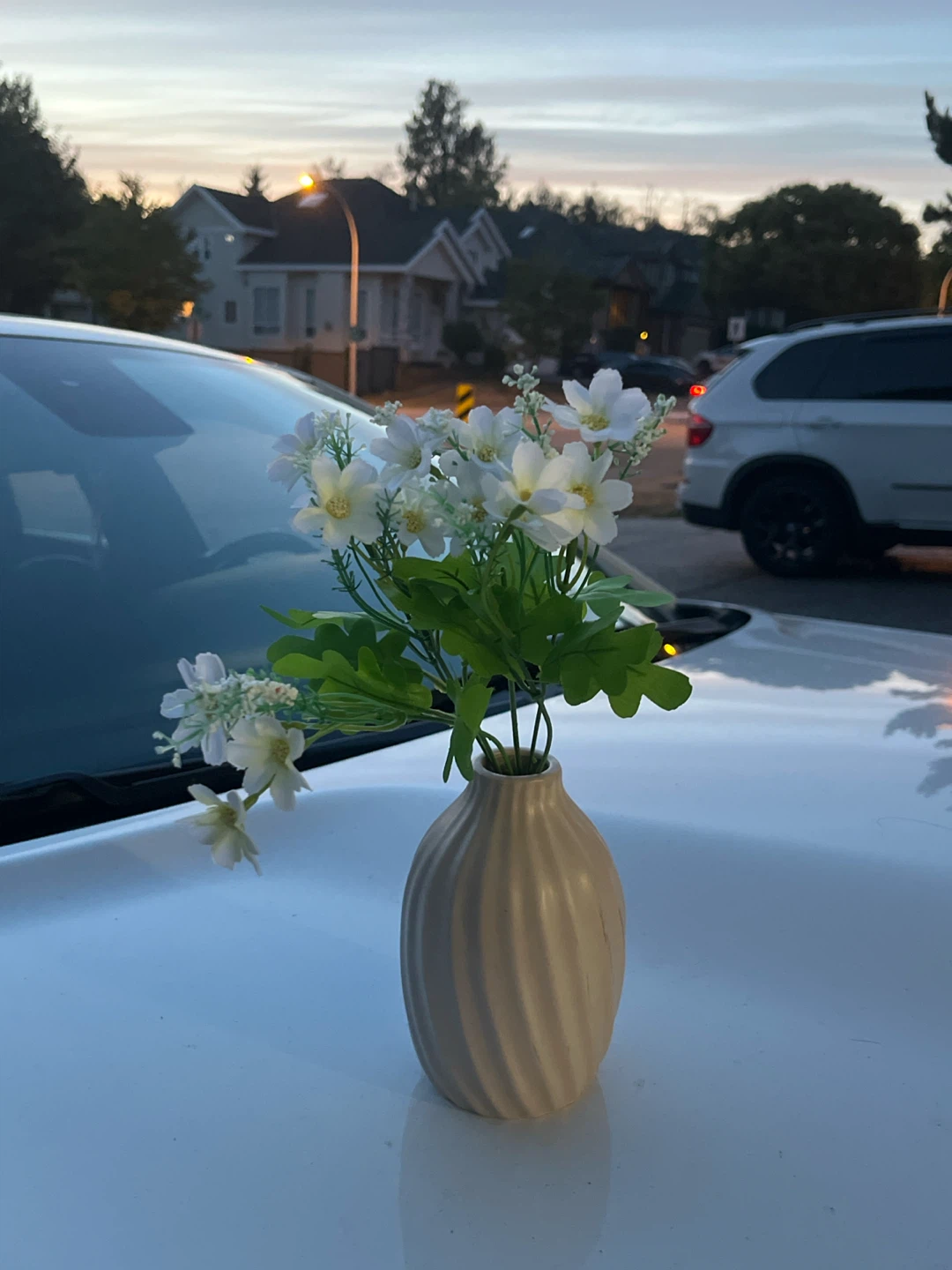 Vase with artificial white flowers
