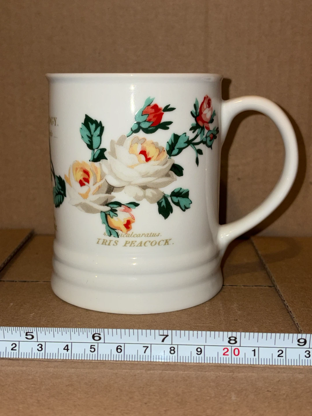 Fringe Studio "Common Peacock" Mug