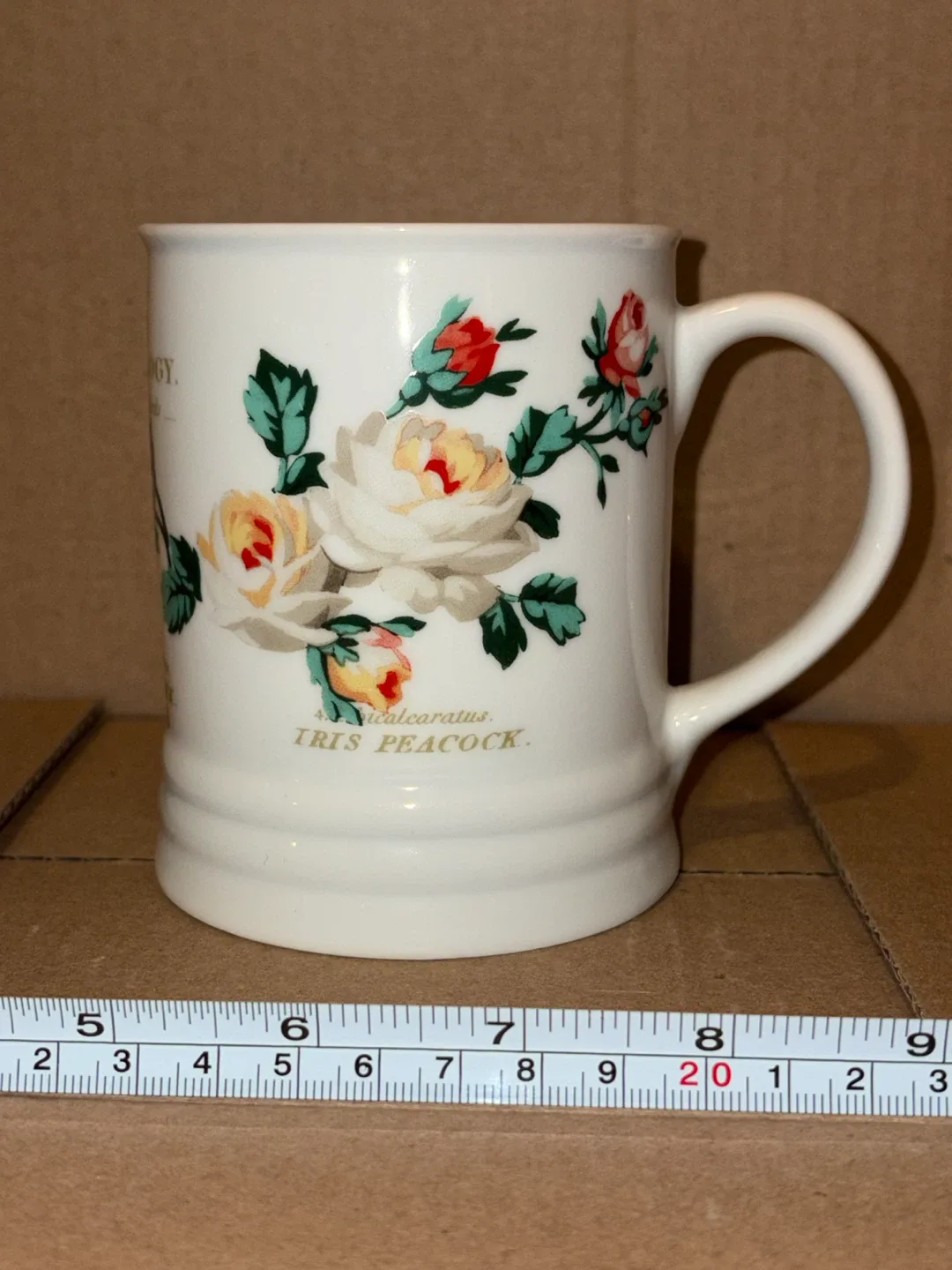 Fringe Studio "Common Peacock" Mug