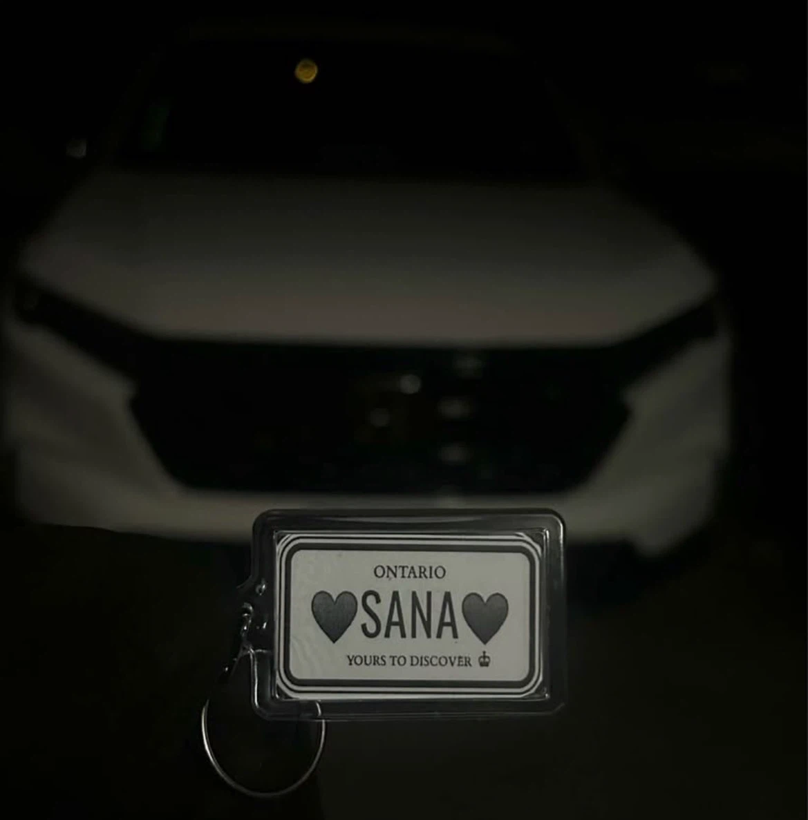 Custom License Plate Keychain | Gift Ideas - photo 5