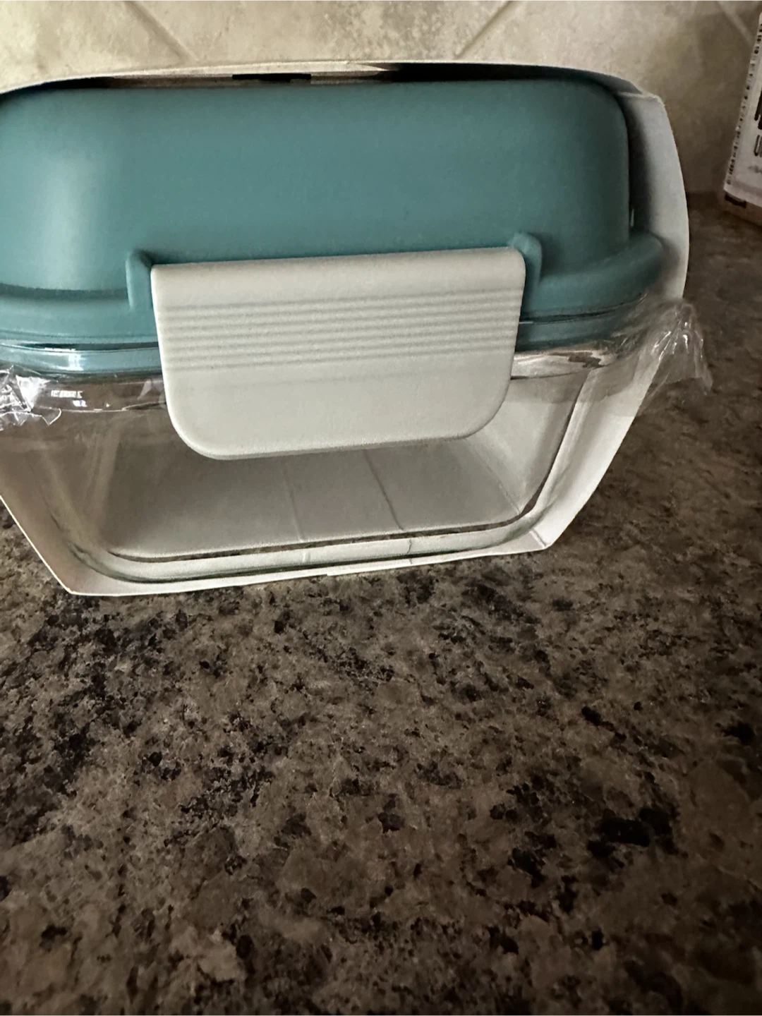 New Glass Bento Food Container - photo 2
