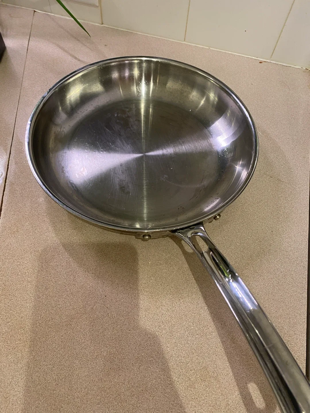 Viking Stainless Steel Frying Pan 10-inch