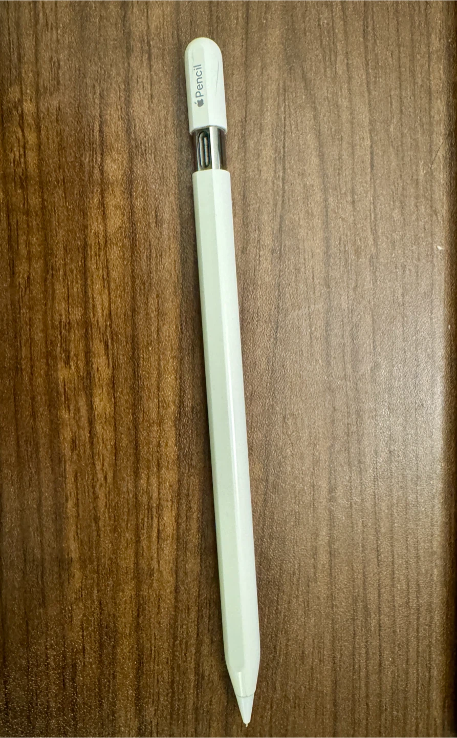 Apple Pencil (USB Type-C)