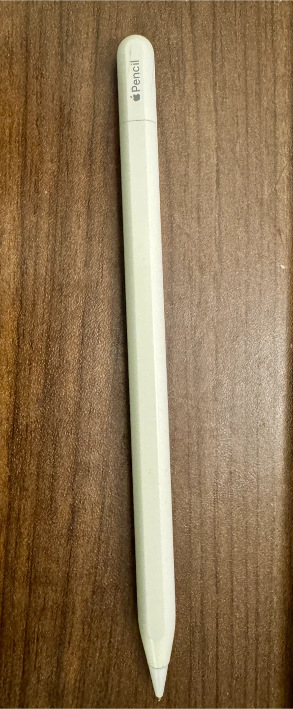 Apple Pencil (USB Type-C) - photo 2