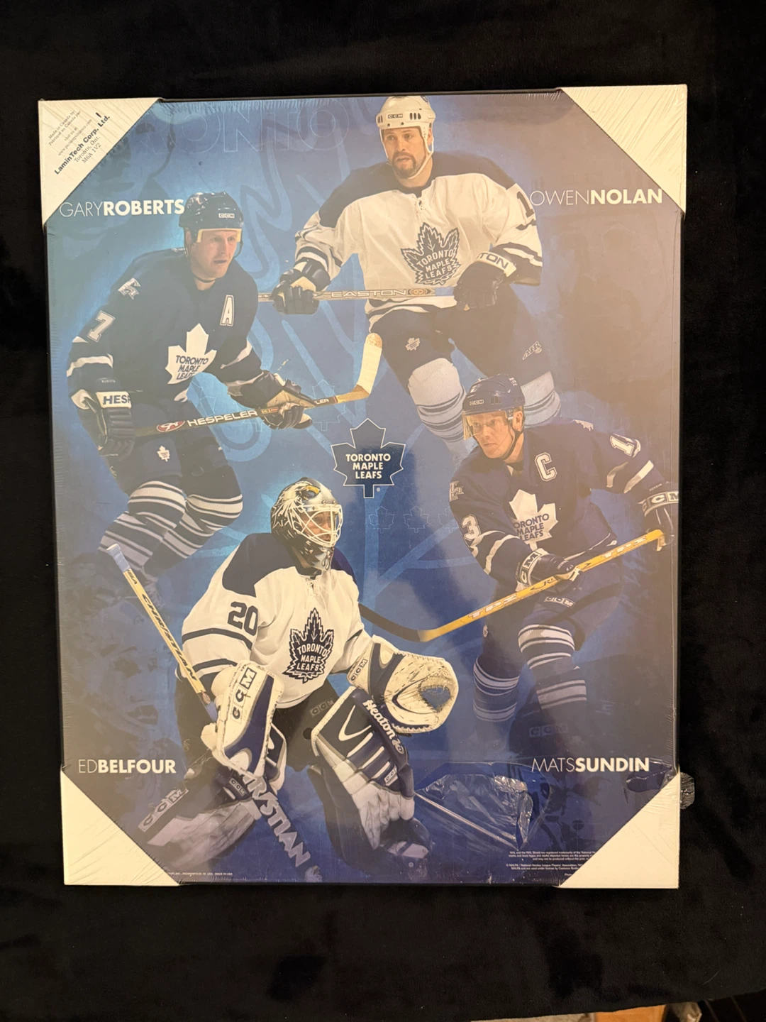 Toronto Maple Leafs Diary of a Dynasty 1957-1967 Book - photo 5