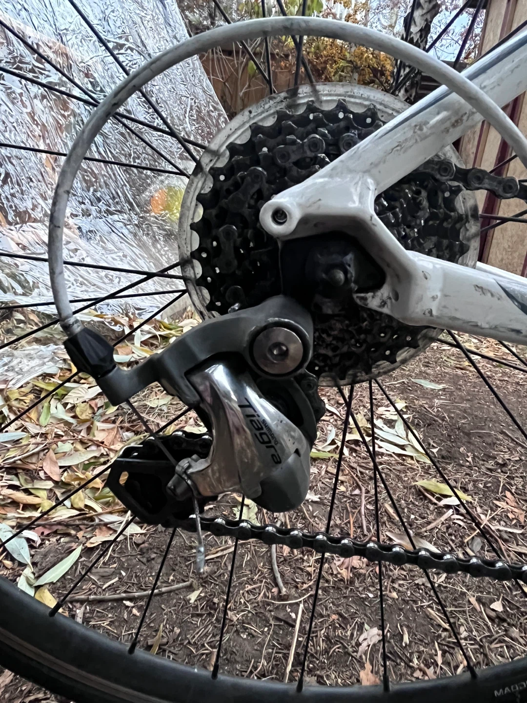Cannondale Road Bike - photo 3