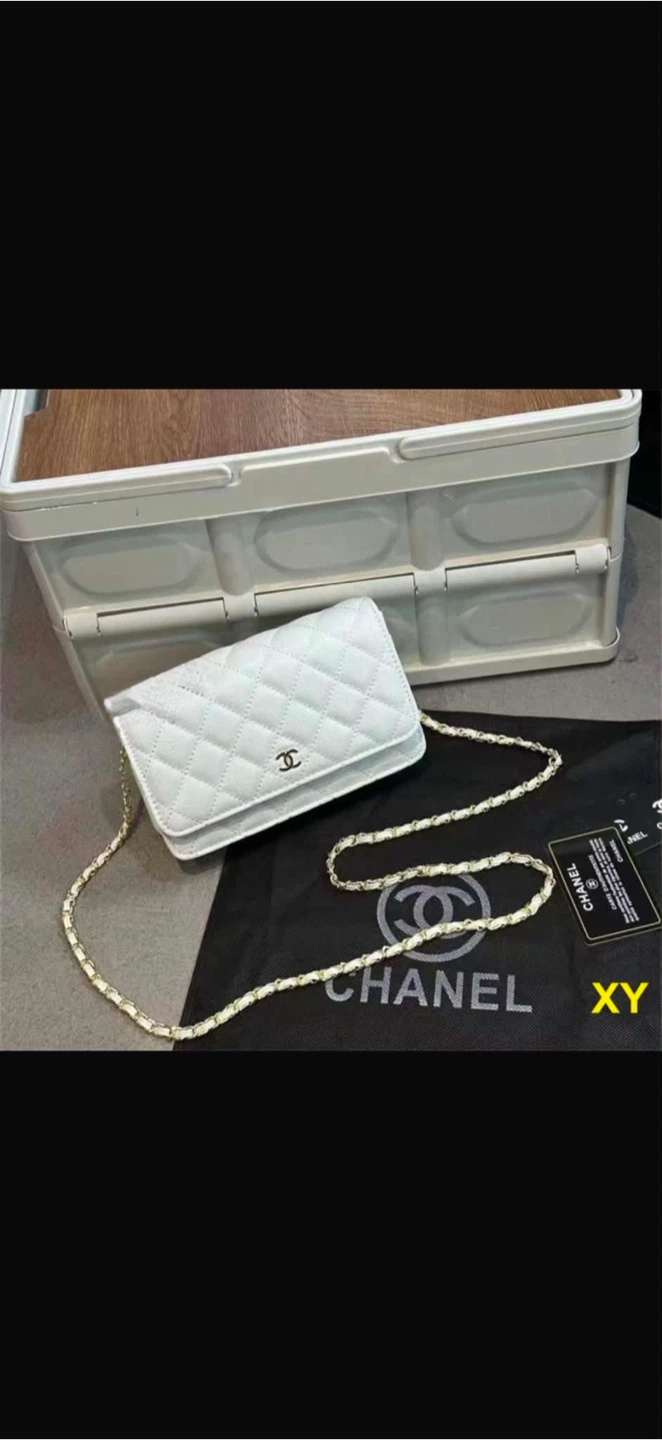 Chanel Wallet on Chain Bag