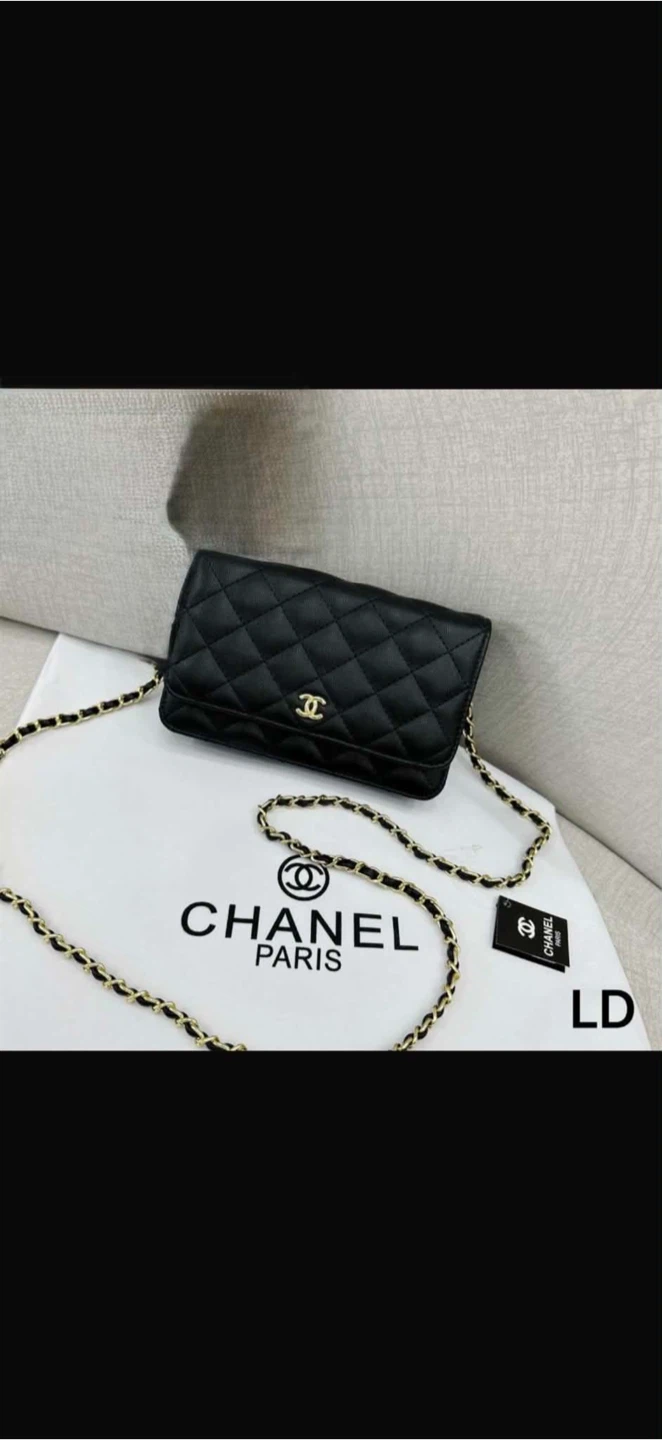 Chanel Wallet on Chain Bag - photo 2