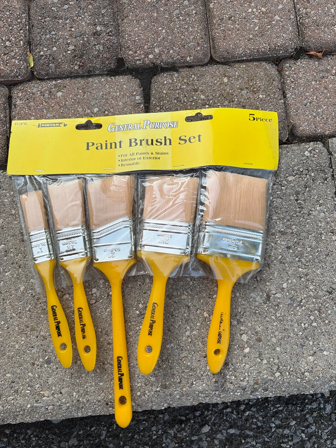 General Purpose Paint Brush Set - 5 Piece