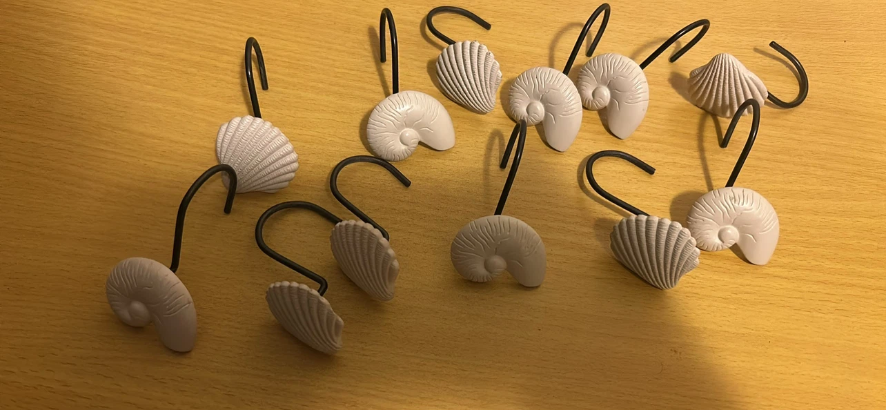 Set of 10 seashell-shaped hooks