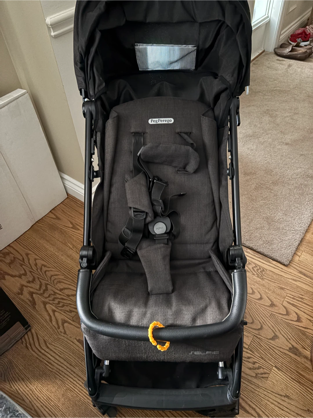 Peg Perego Selfie Stroller
