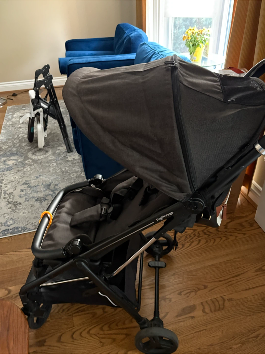 Peg Perego Selfie Stroller - photo 3