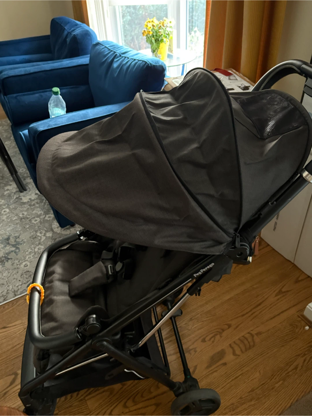 Peg Perego Selfie Stroller - photo 4