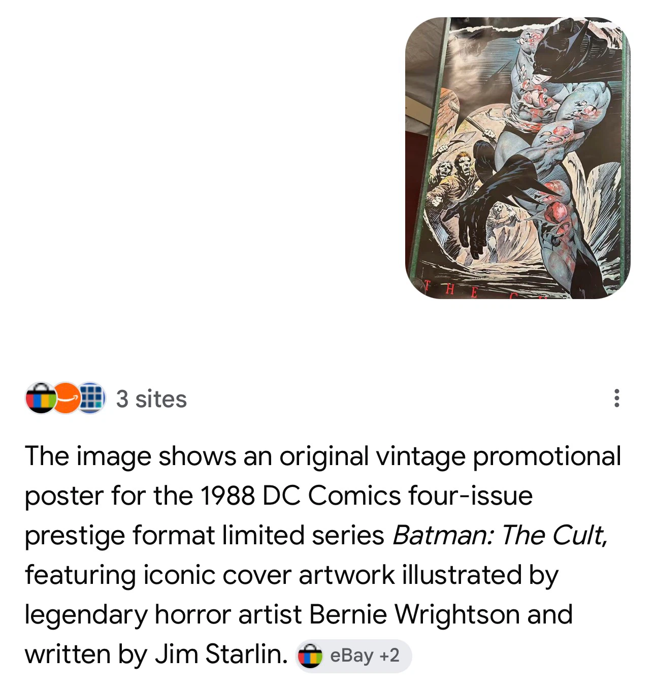 Batman: The Cult 1988 Promotional Poster - photo 4