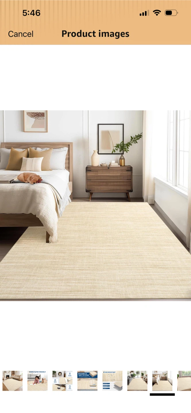 New-Low Profile Area Rug - Beige