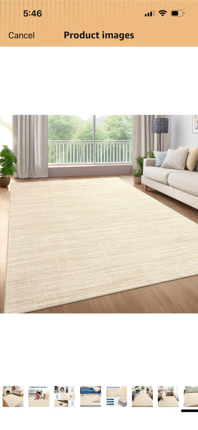 New-Low Profile Area Rug - Beige - photo 2