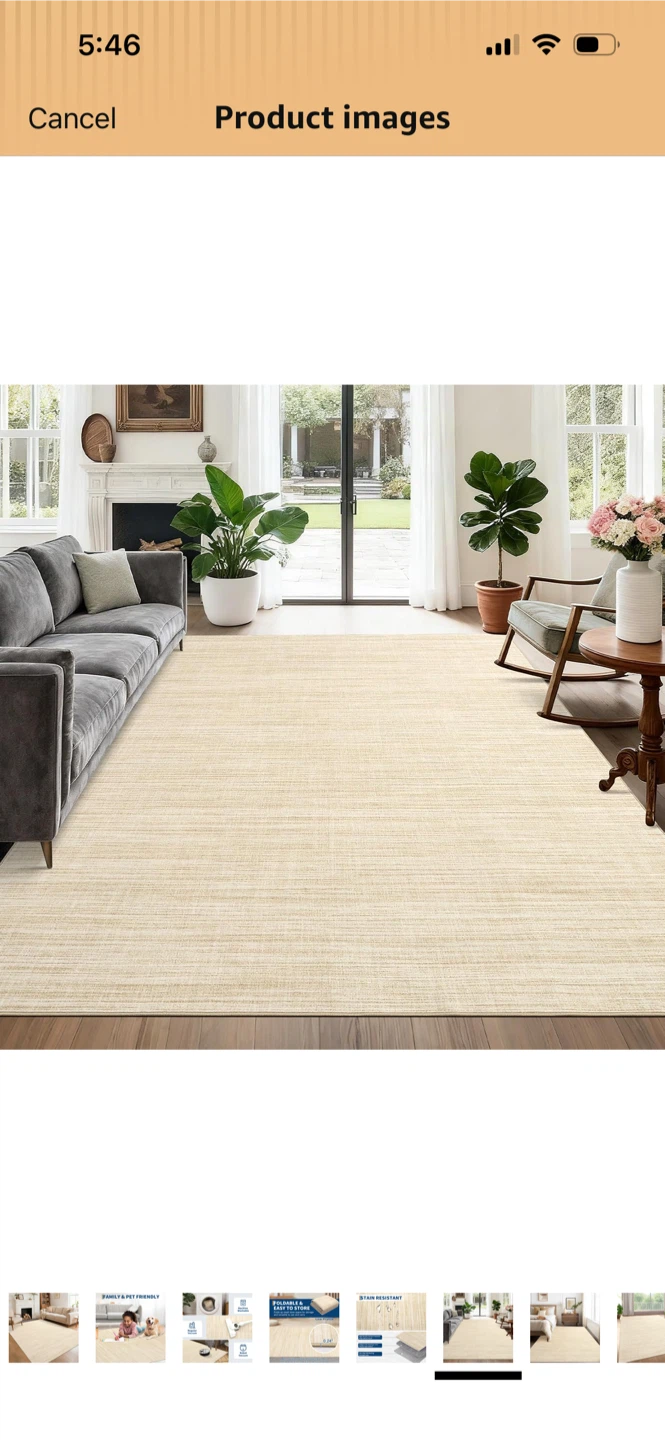 New-Low Profile Area Rug - Beige - photo 3