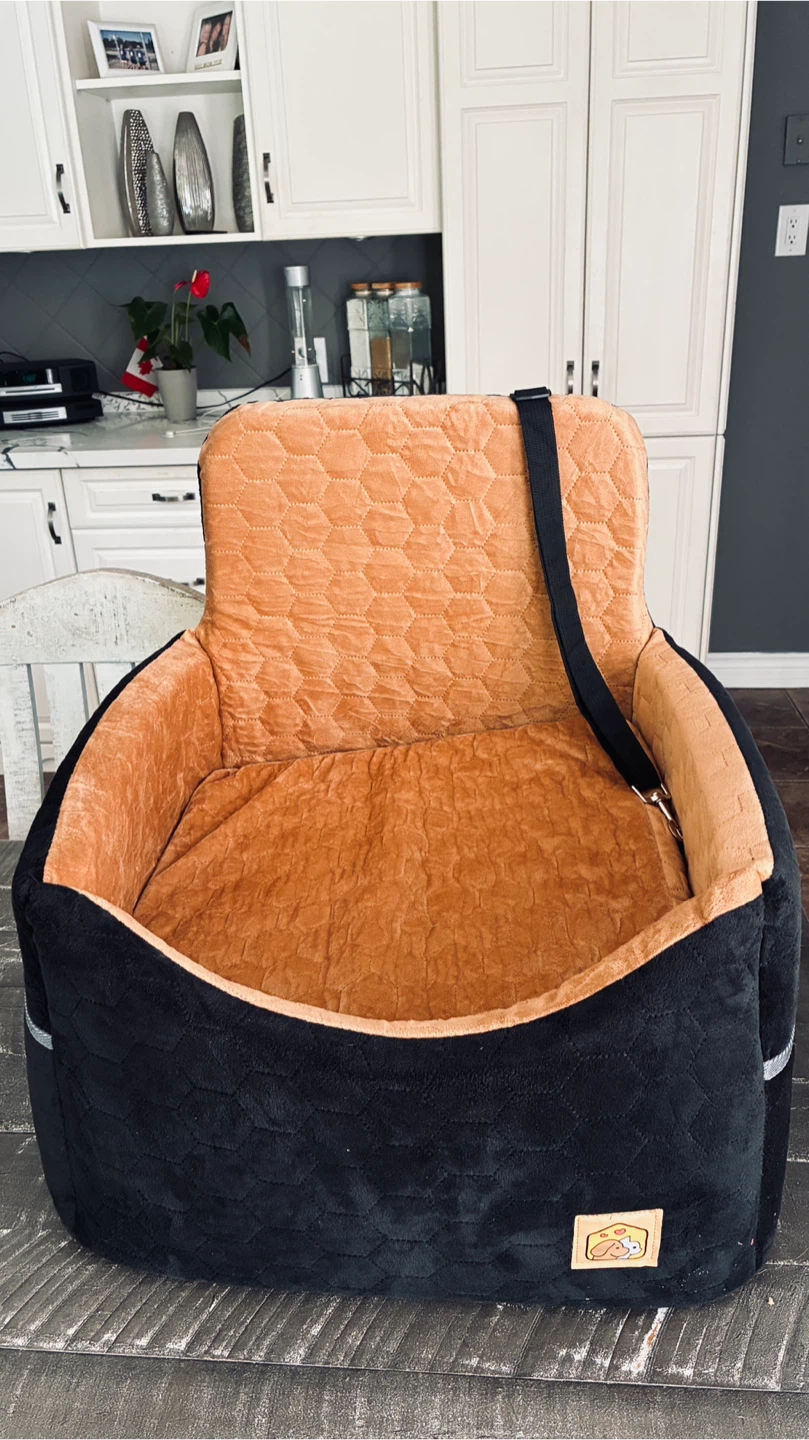 Luxurious 16” x 16” car dog bed
