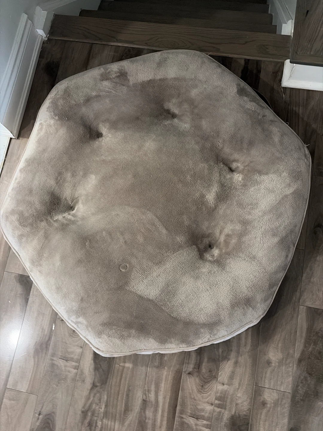 Kirkland Signature Pet Bed - photo 3